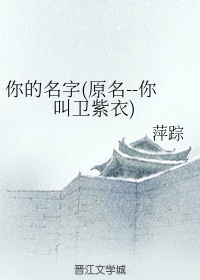 水上游击队