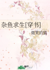 安信花贷款怎么样