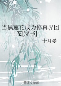 艳情电子小说网手机版