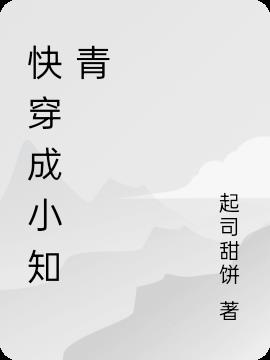 三个明星媳妇全文阅读