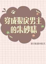 将军在上免费在线