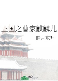 仿石砖