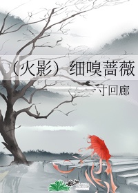 奔跑吧第11季在线观看免费完整版