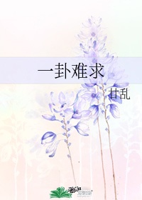 校园群芳记小说