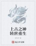 金牌律师电视剧