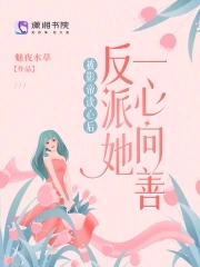 风华女上司