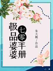 将军在上电视剧