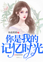 无贼电视剧全集48集免费播放