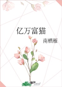 晚上看b站直播app