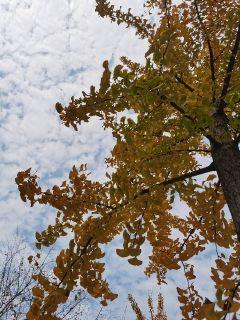 汤不热夏唯唯视频