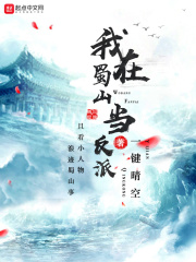 魔道祖师第三季