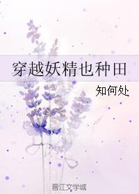 会计求职意向