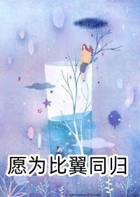 有坂深雪在线播放