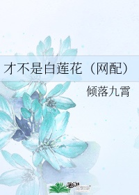 一代女皇艳史台湾版