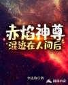 ai明星造梦网站