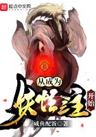 鲤鱼2024自由文库网页