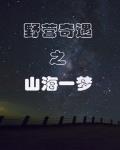 送给你小星星送给你花一朵是什么歌