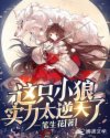 山河月明在线观看免费观看完整版