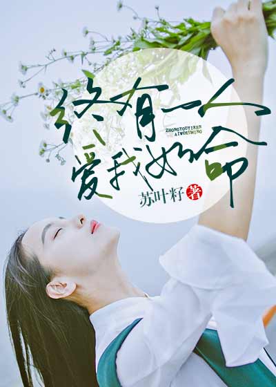 全职法师第四季