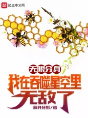 谍影在线观看电视剧完整版