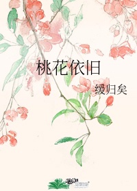 菊内留香金银花讲的什么