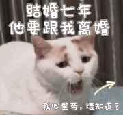 猪猪动漫