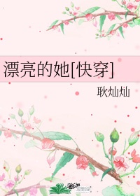 飞机场是什么意思