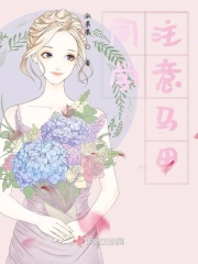 律师的后花园