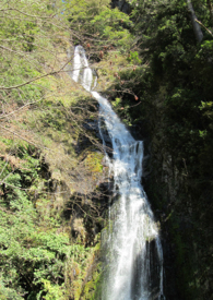 恶霸鲁尼下载