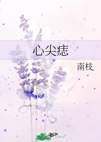 夜曲编程官网