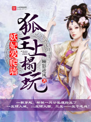 血精灵法师幻化