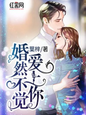 绝品透视在线观看完整版