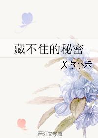 手机照片恢复大师免费版