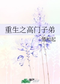 女同高辣小说片段