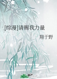 dnf复仇者怎么样