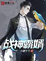 激情图片qvod