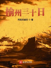 变形金刚6电影免费观看完整版