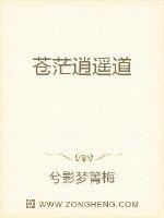 乔念叶妄川全文免费阅读无弹窗结局