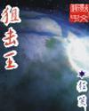 朱军判8年简介