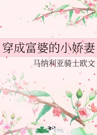 小城与后妈txt下载