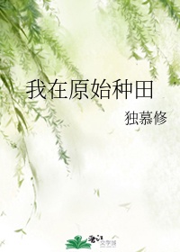 调教高傲