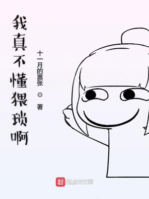 苏菲赵东来小说