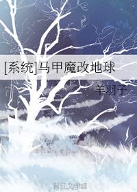 全职法师第6季更新时间