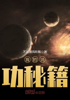 你是我的星辰第二季