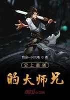 全职法师第6季全集免费