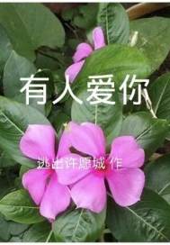 青钢影特殊任务的本子