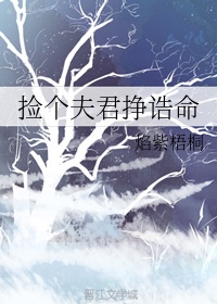 魏无羡蓝忘机各种play