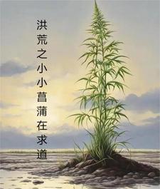 亚洲综合色网