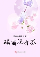 茉莉花开小说