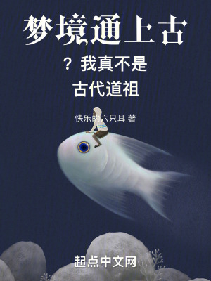 黑话律师免费观看完整版